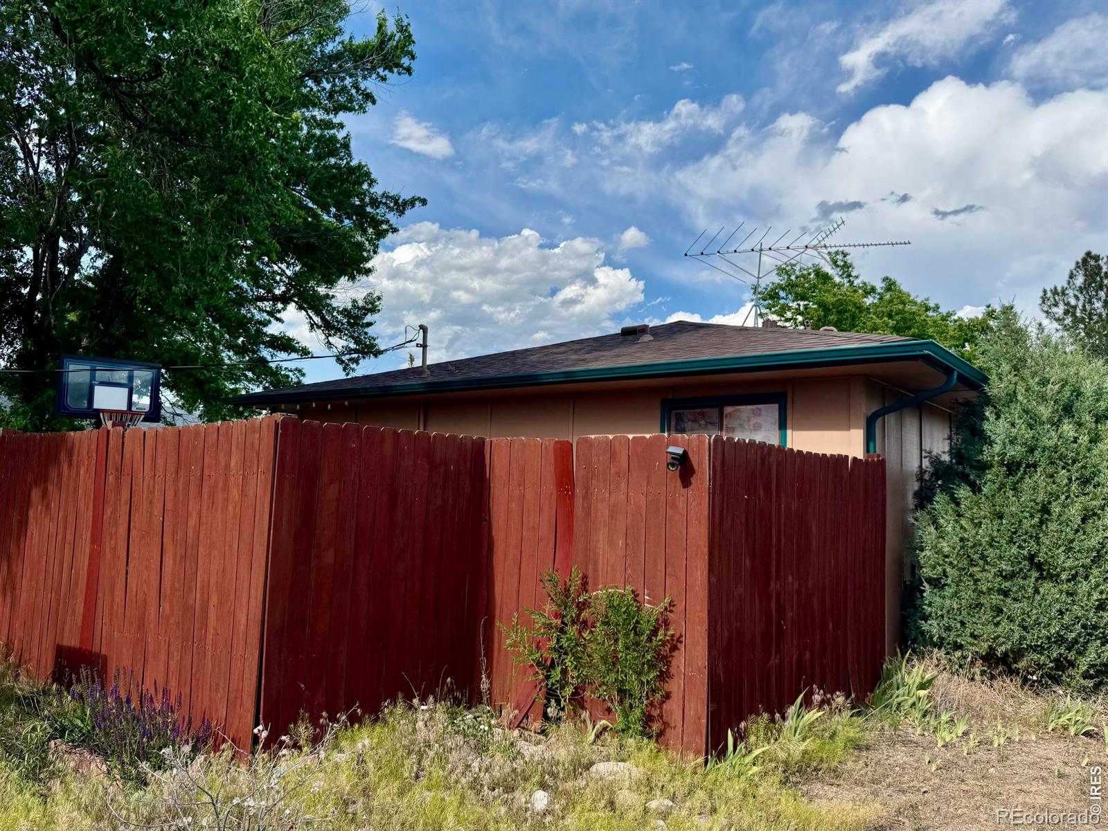 MLS Image #10 for 309  4th street,pierce, Colorado