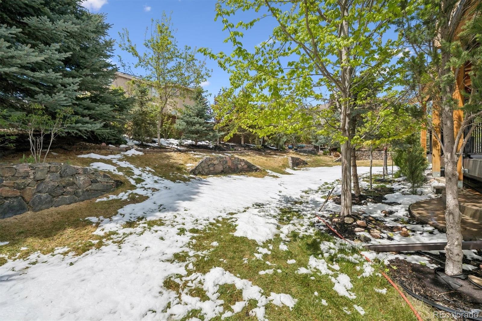MLS Image #40 for 10137  charissglen lane,highlands ranch, Colorado