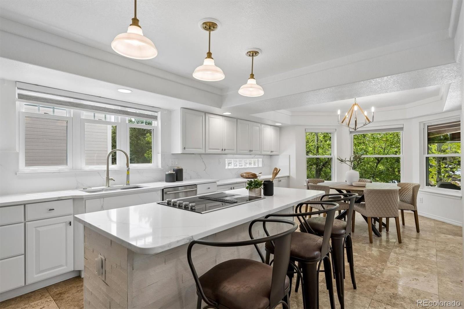 MLS Image #8 for 10137  charissglen lane,highlands ranch, Colorado
