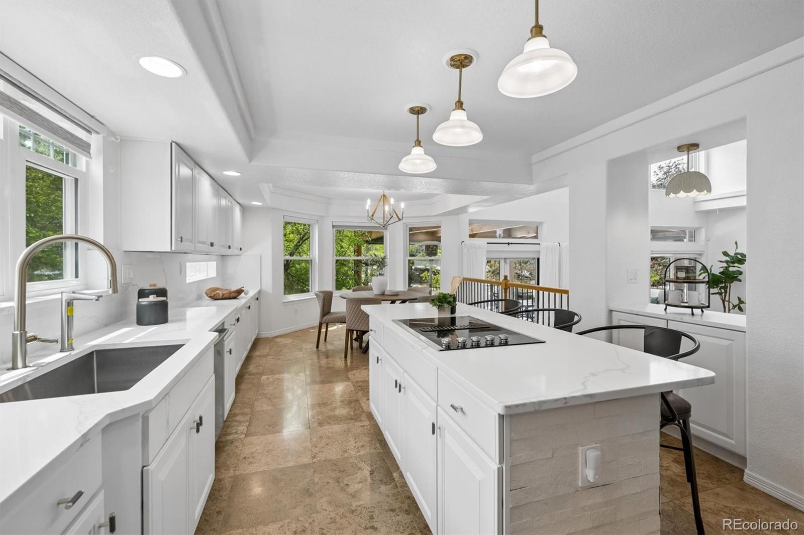 MLS Image #9 for 10137  charissglen lane,highlands ranch, Colorado
