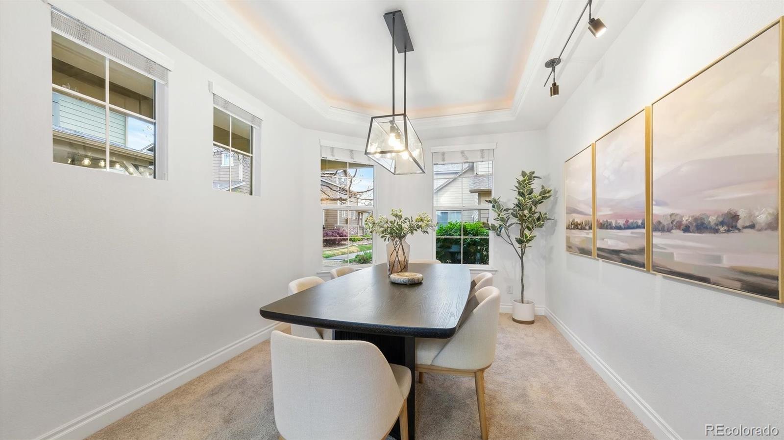 MLS Image #10 for 3998  blue pine circle,highlands ranch, Colorado