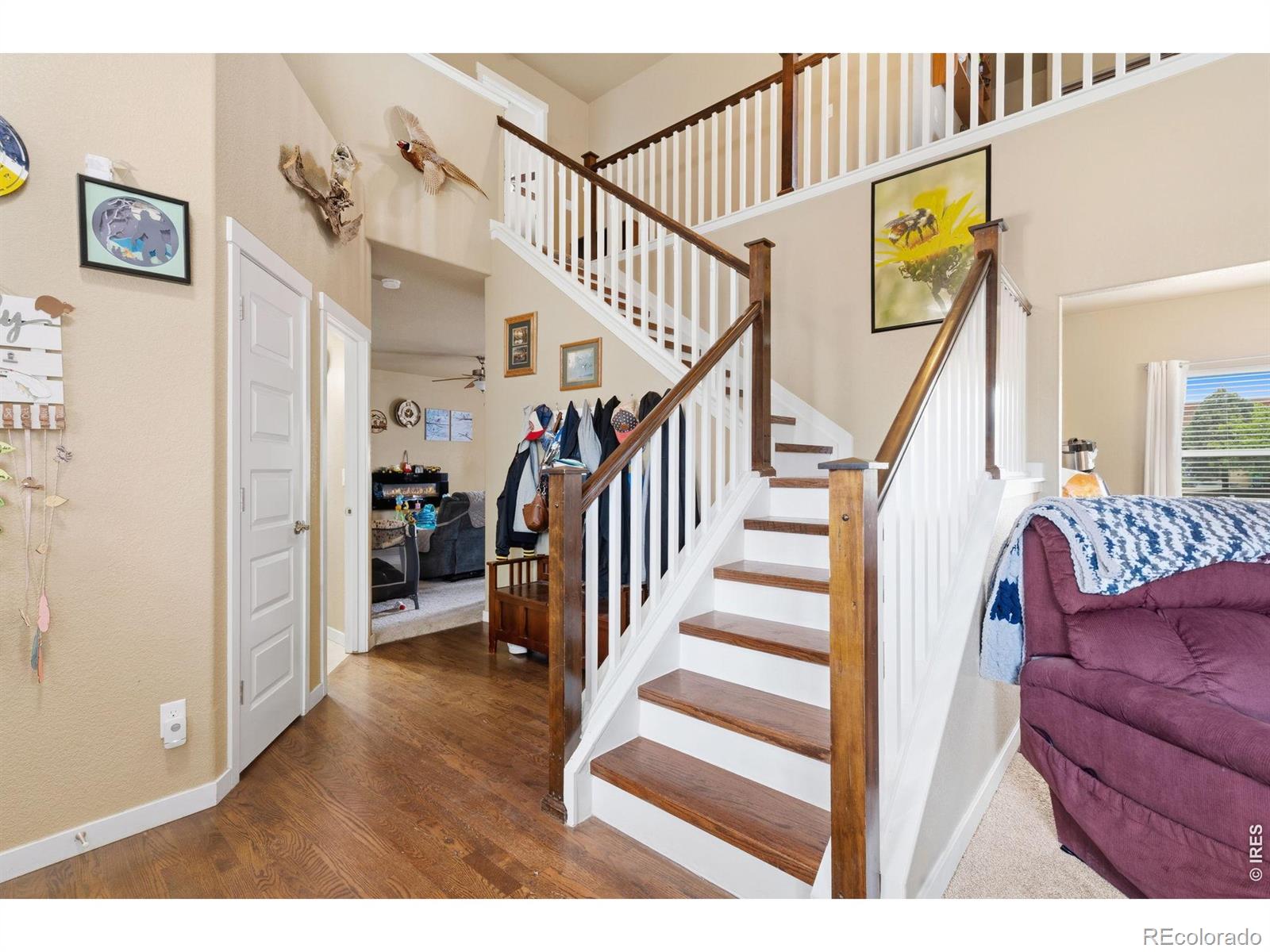 MLS Image #15 for 2701  hydra drive,loveland, Colorado