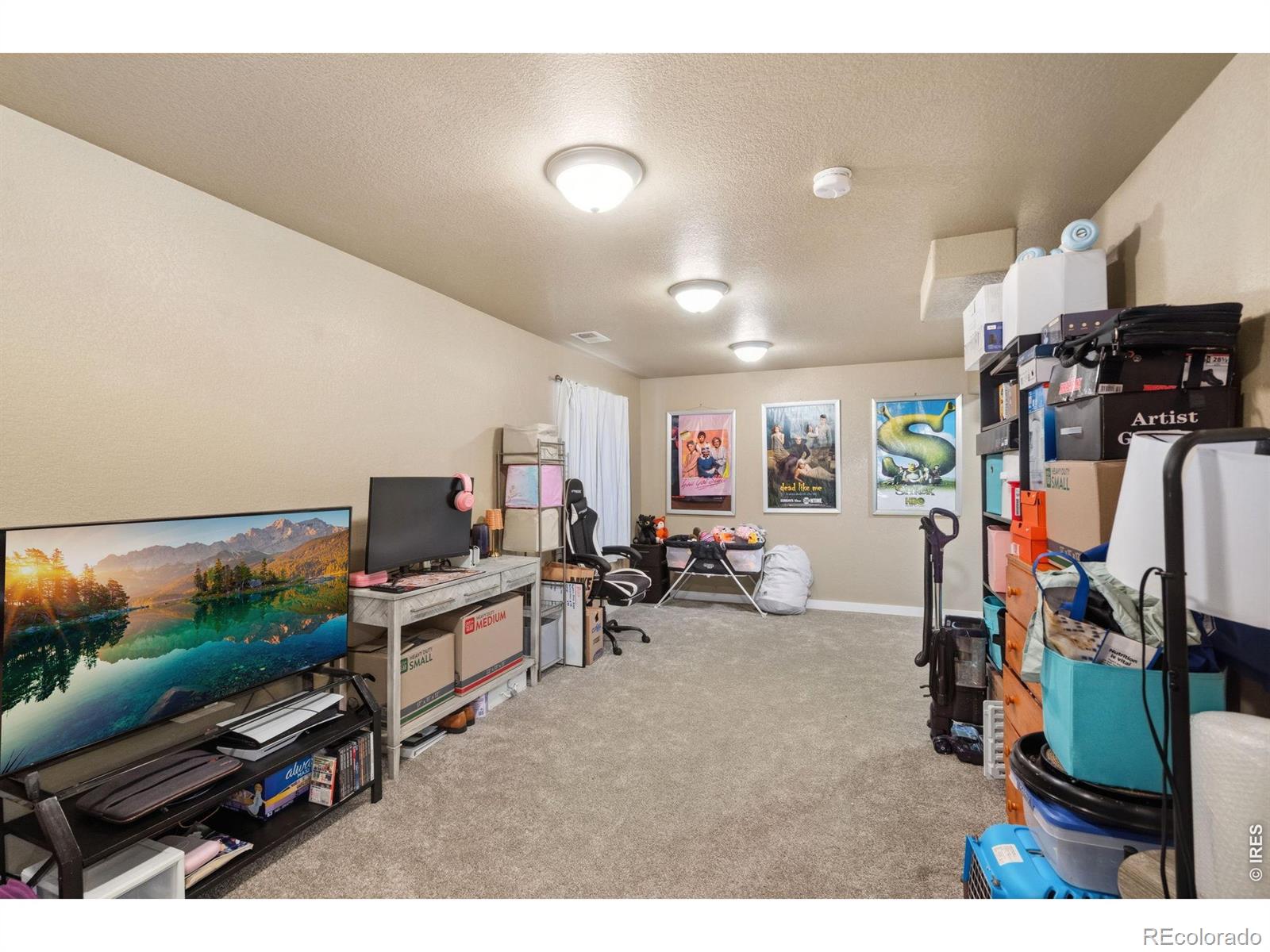 MLS Image #29 for 2701  hydra drive,loveland, Colorado