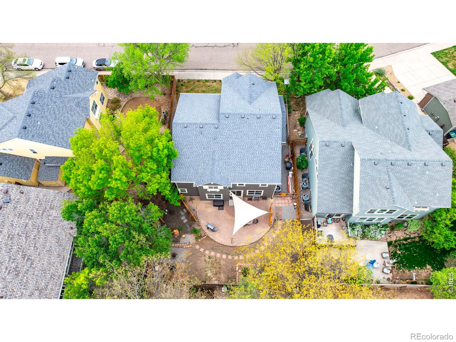 MLS Image #21 for 1526  prairie song place,longmont, Colorado