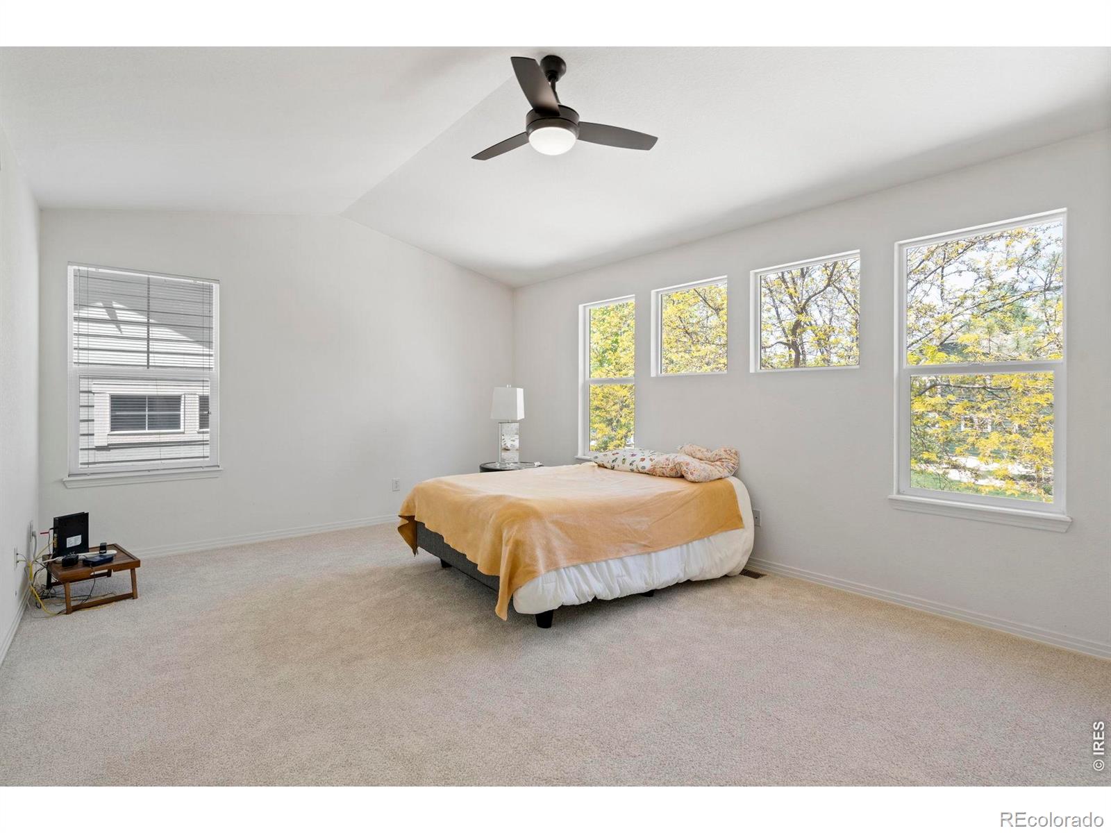 MLS Image #23 for 1526  prairie song place,longmont, Colorado