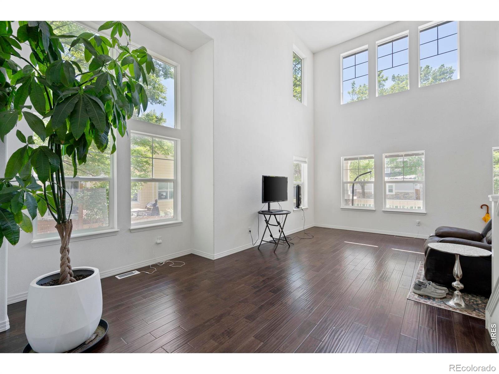 MLS Image #6 for 1526  prairie song place,longmont, Colorado