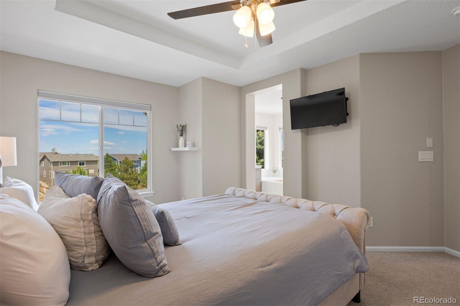 MLS Image #16 for 3207  green haven circle,highlands ranch, Colorado