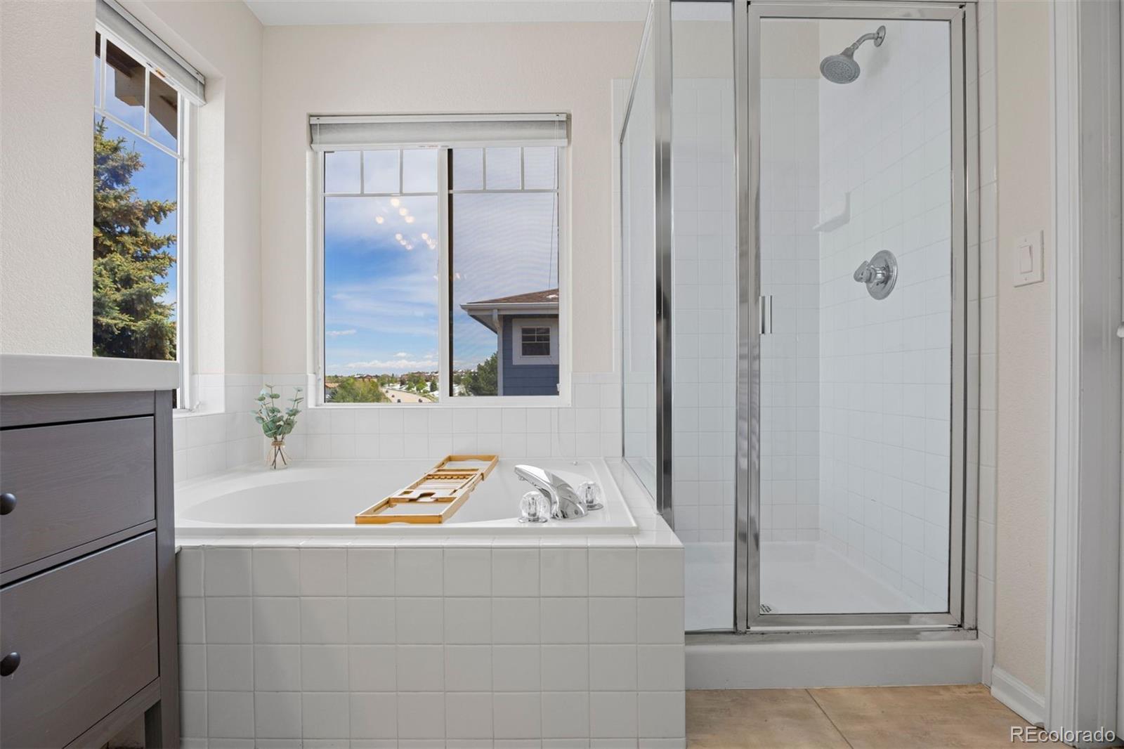 MLS Image #19 for 3207  green haven circle,highlands ranch, Colorado
