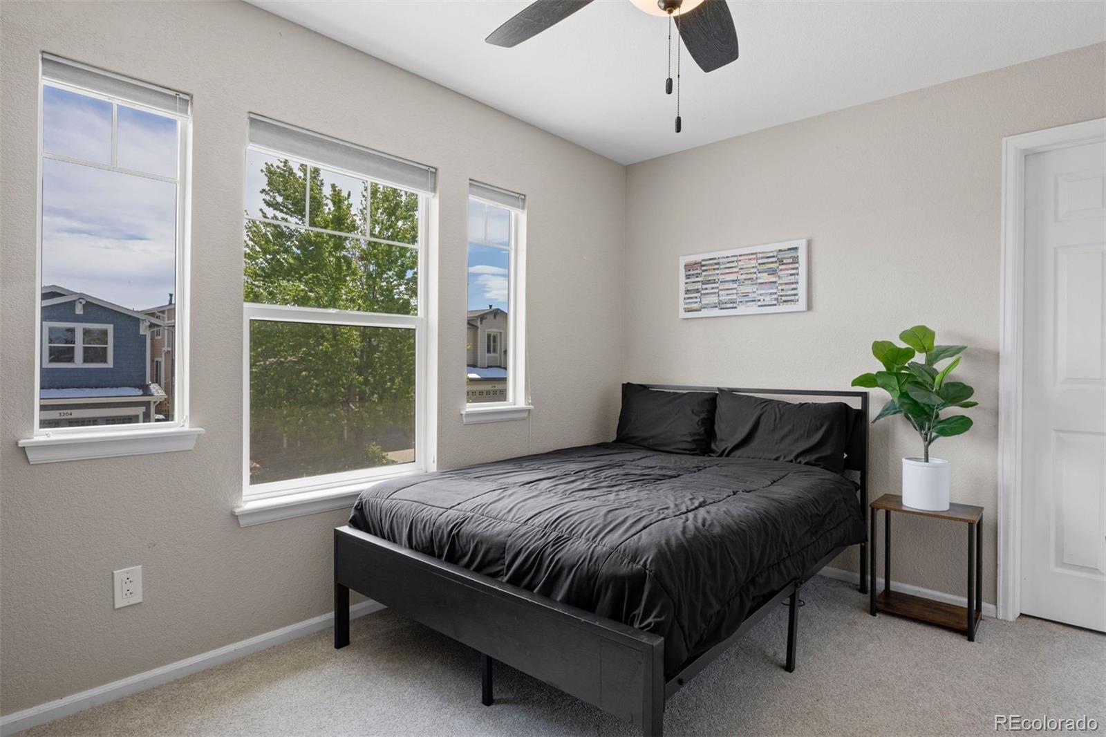 MLS Image #23 for 3207  green haven circle,highlands ranch, Colorado