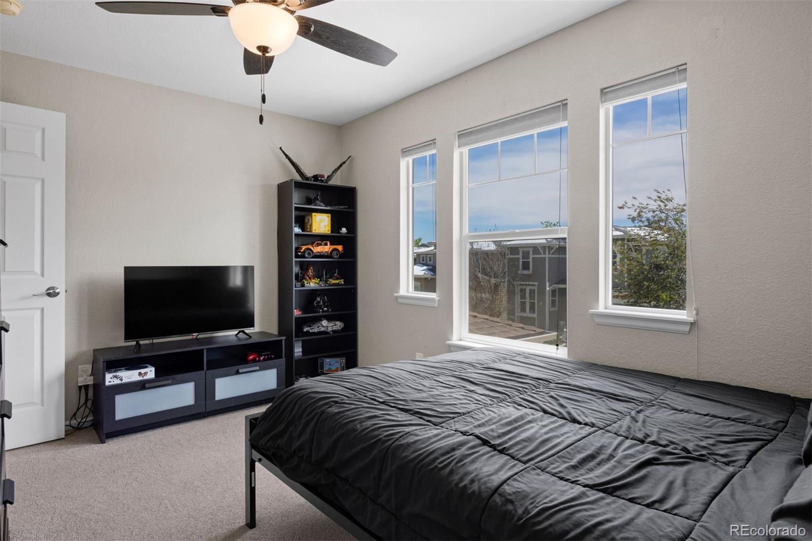 MLS Image #24 for 3207  green haven circle,highlands ranch, Colorado