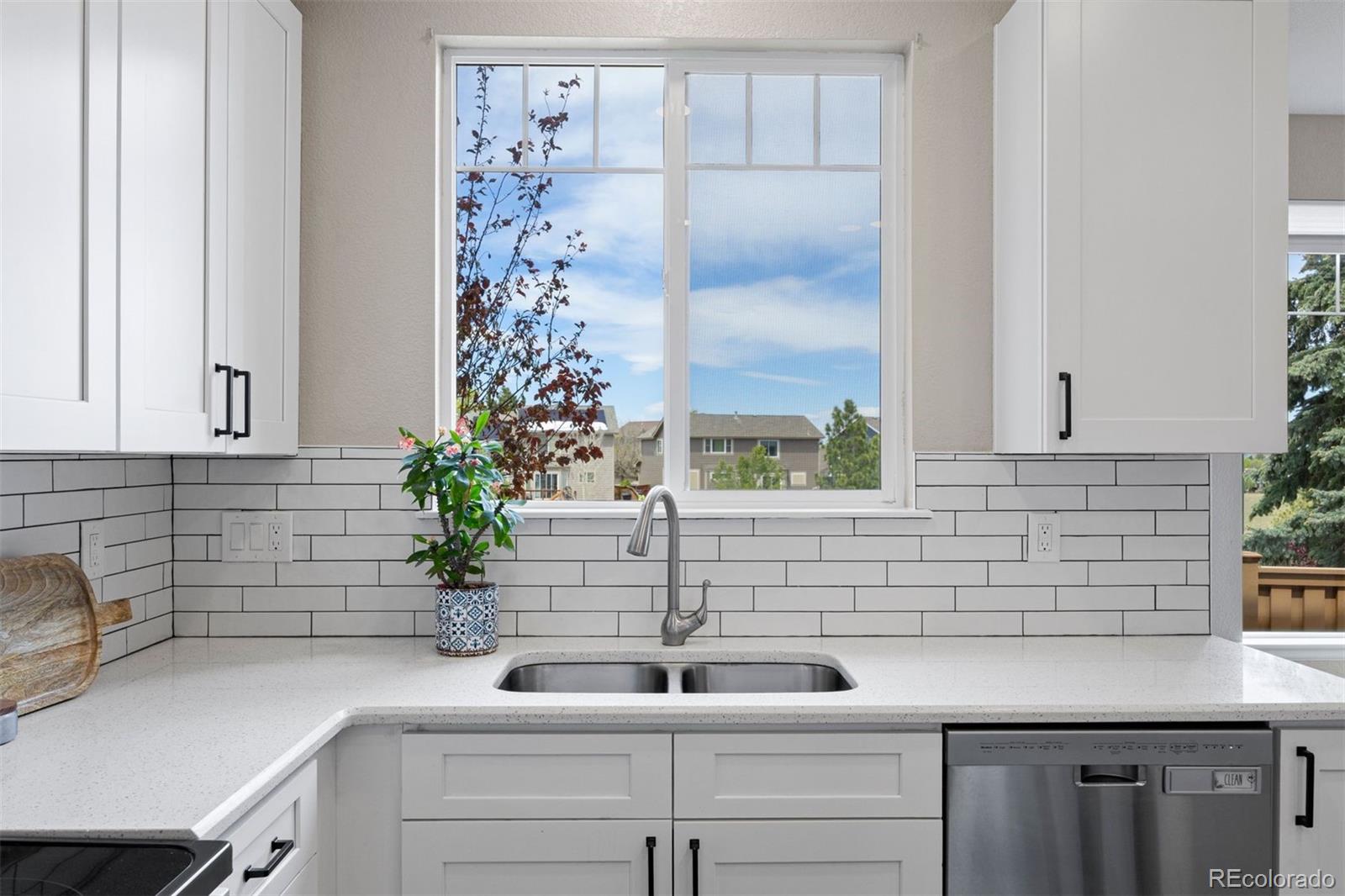 MLS Image #4 for 3207  green haven circle,highlands ranch, Colorado