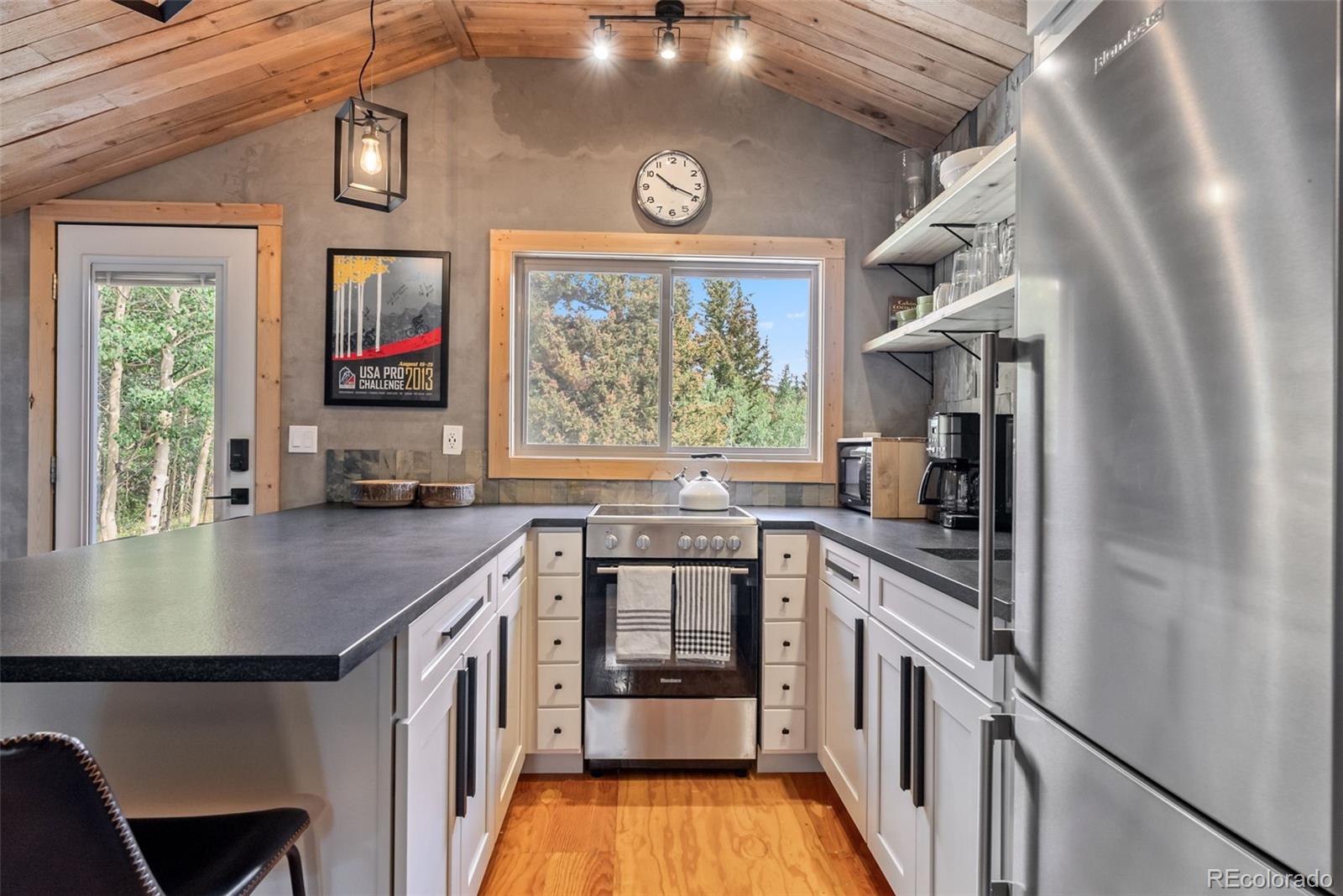 MLS Image #1 for 932  peterson drive,alma, Colorado