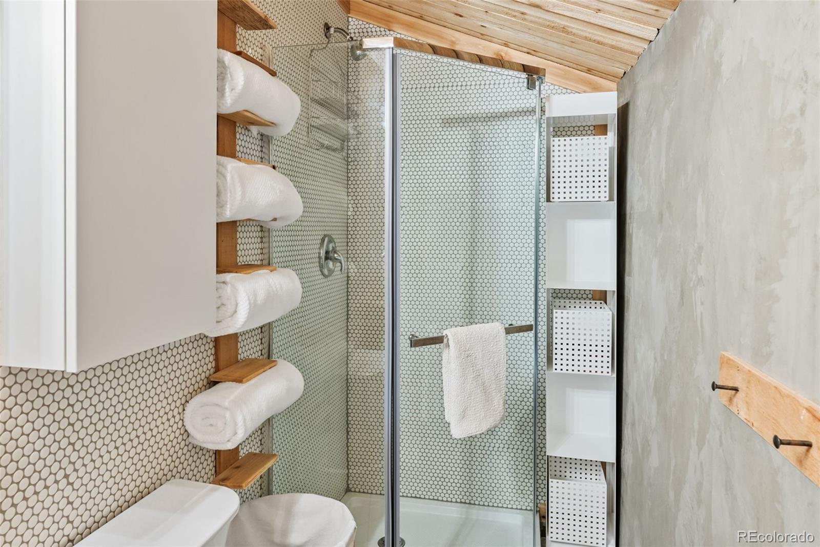 MLS Image #10 for 932  peterson drive,alma, Colorado