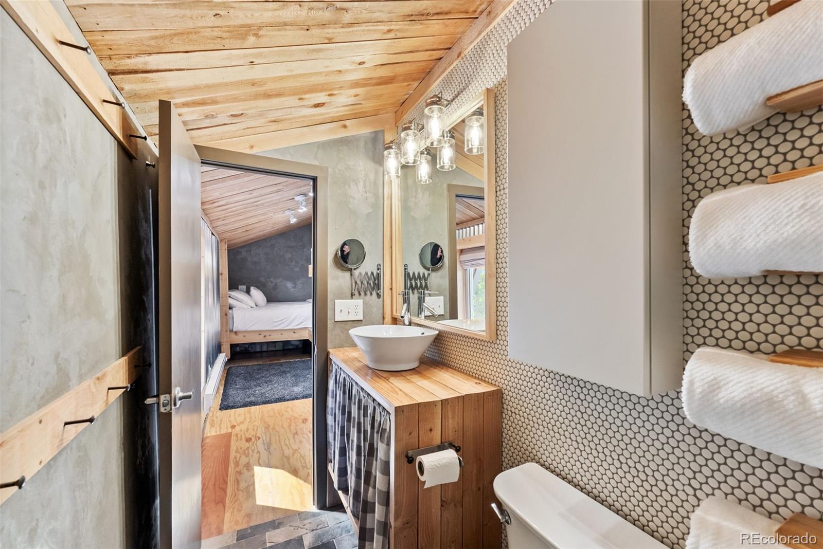 MLS Image #12 for 932  peterson drive,alma, Colorado