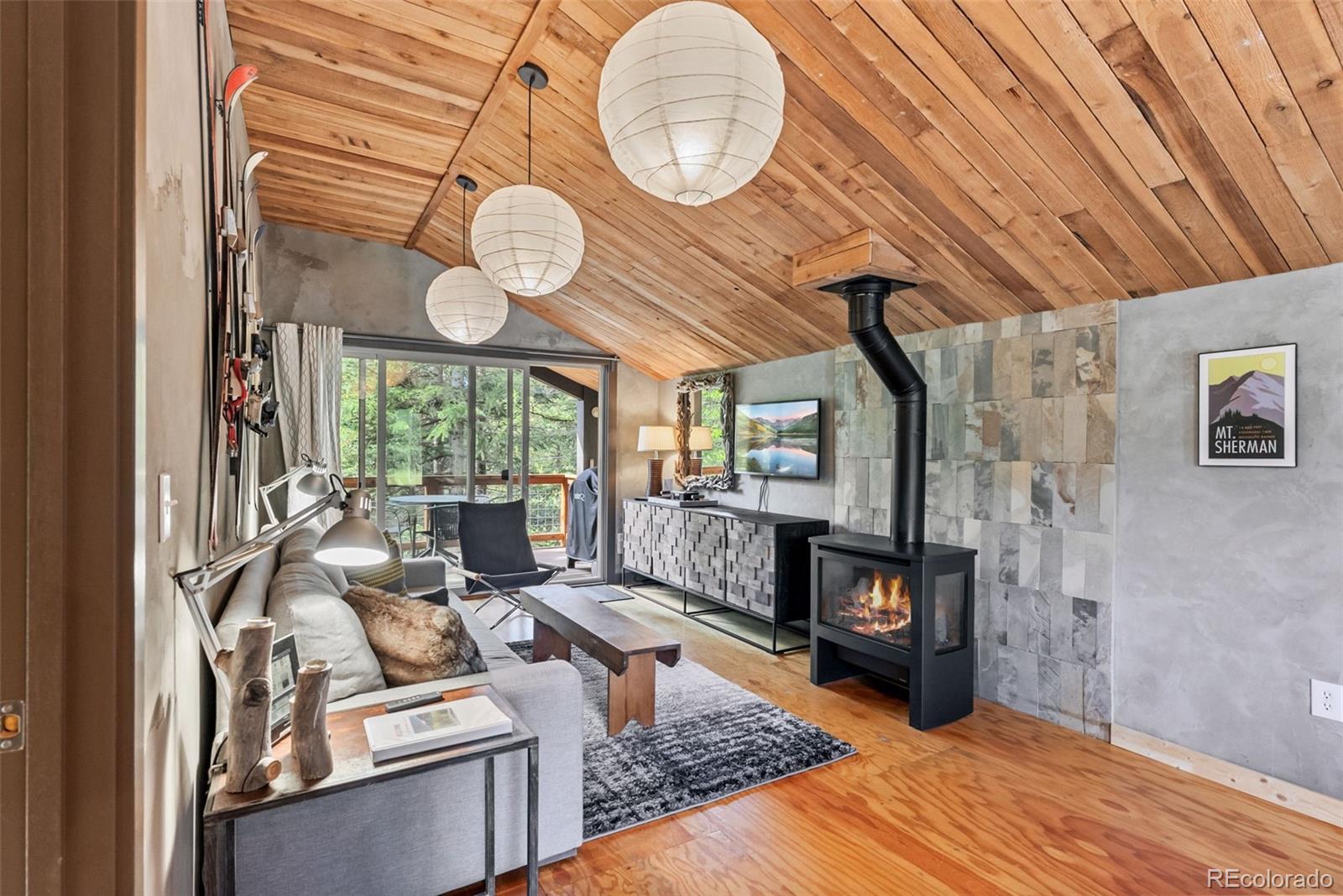 MLS Image #17 for 932  peterson drive,alma, Colorado