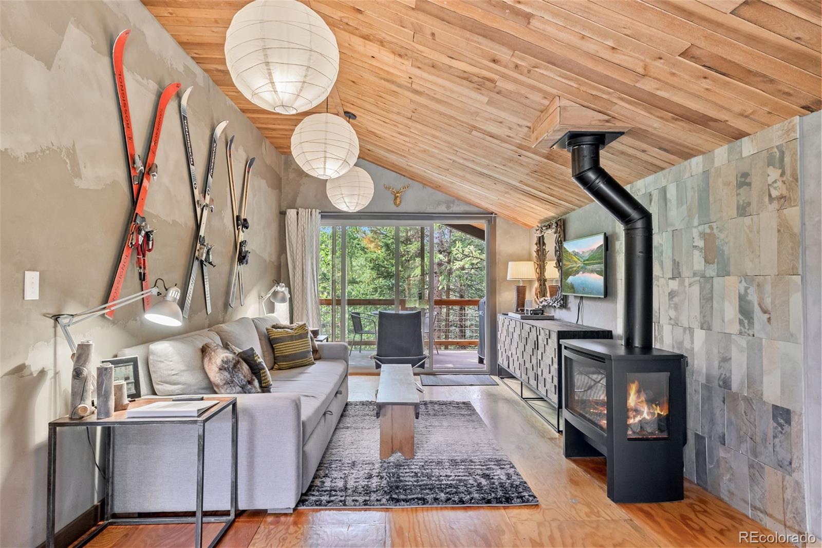 MLS Image #18 for 932  peterson drive,alma, Colorado