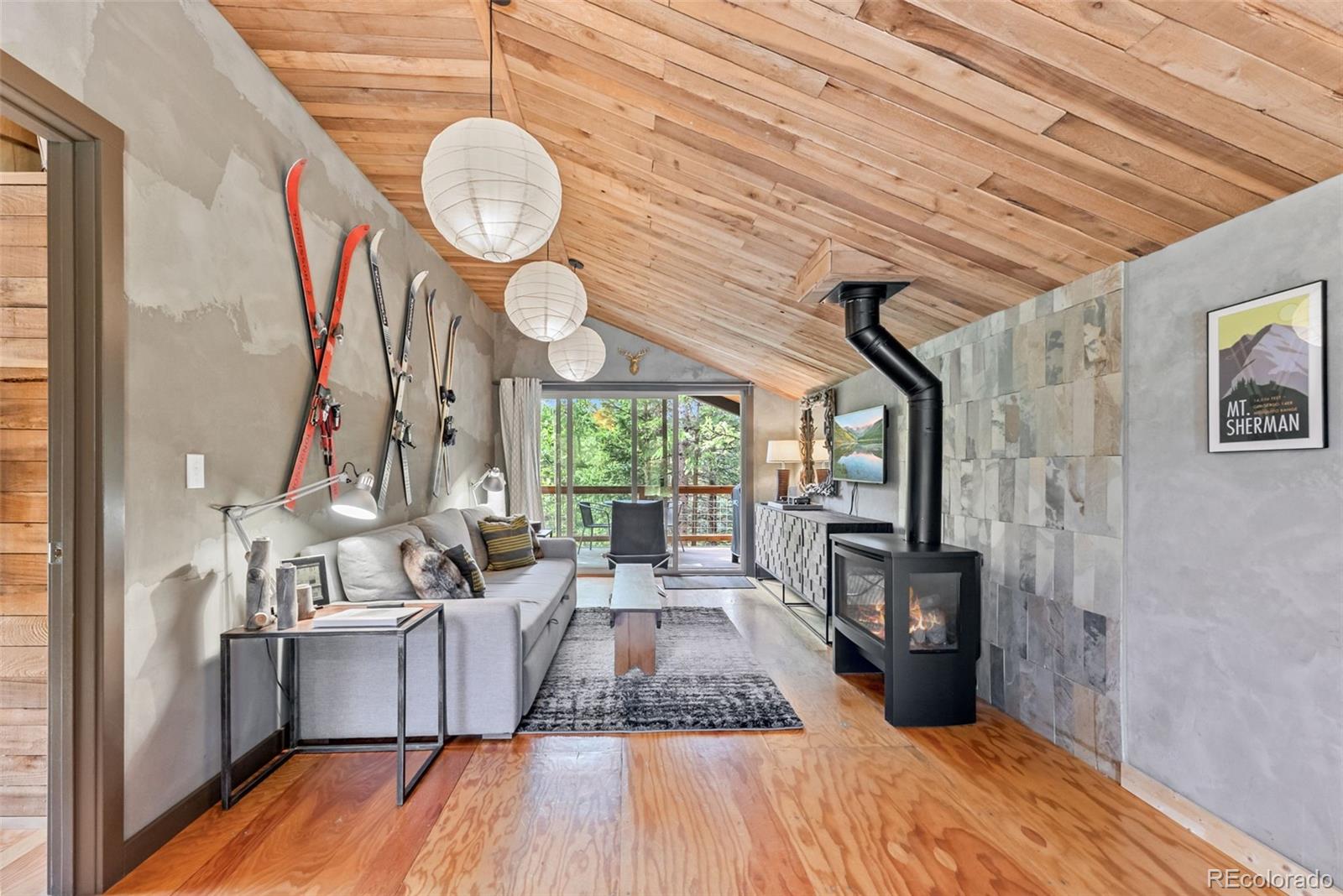 MLS Image #2 for 932  peterson drive,alma, Colorado