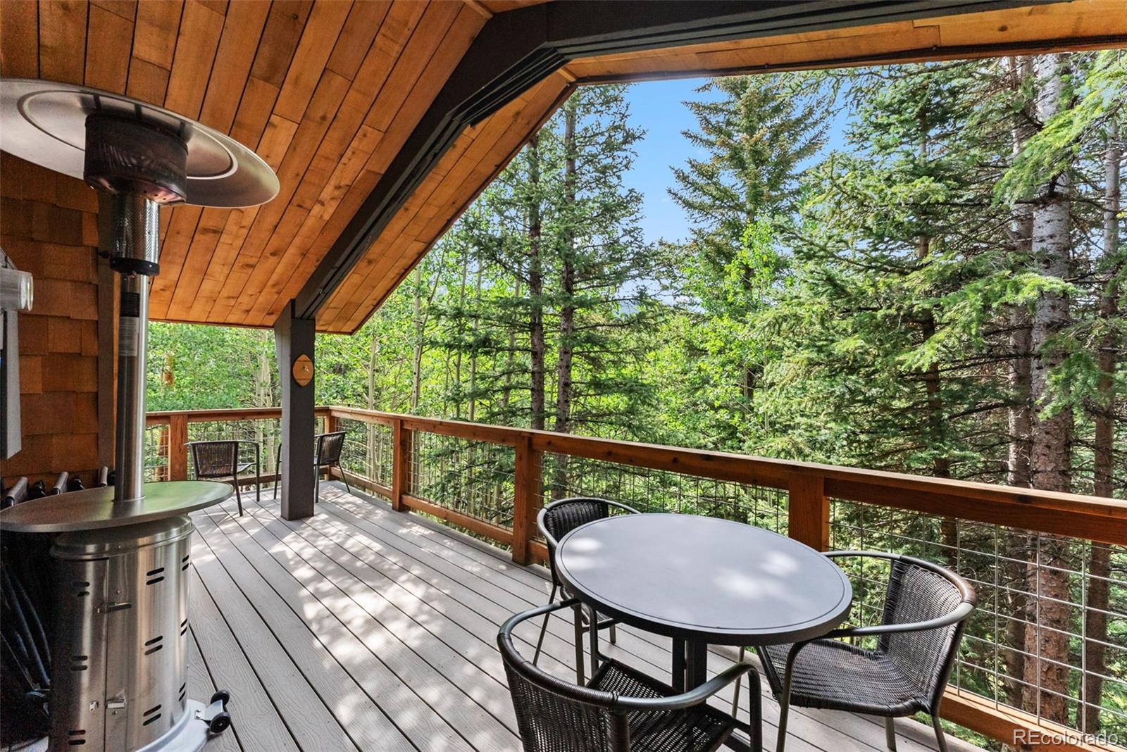 MLS Image #20 for 932  peterson drive,alma, Colorado