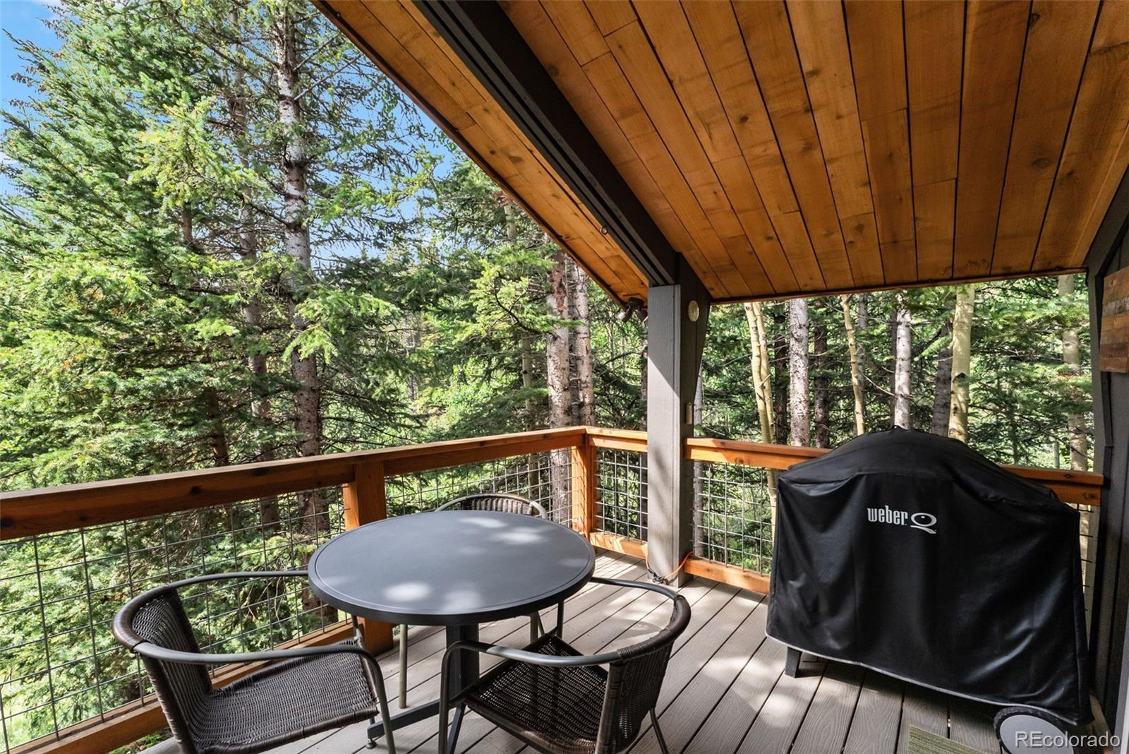 MLS Image #21 for 932  peterson drive,alma, Colorado