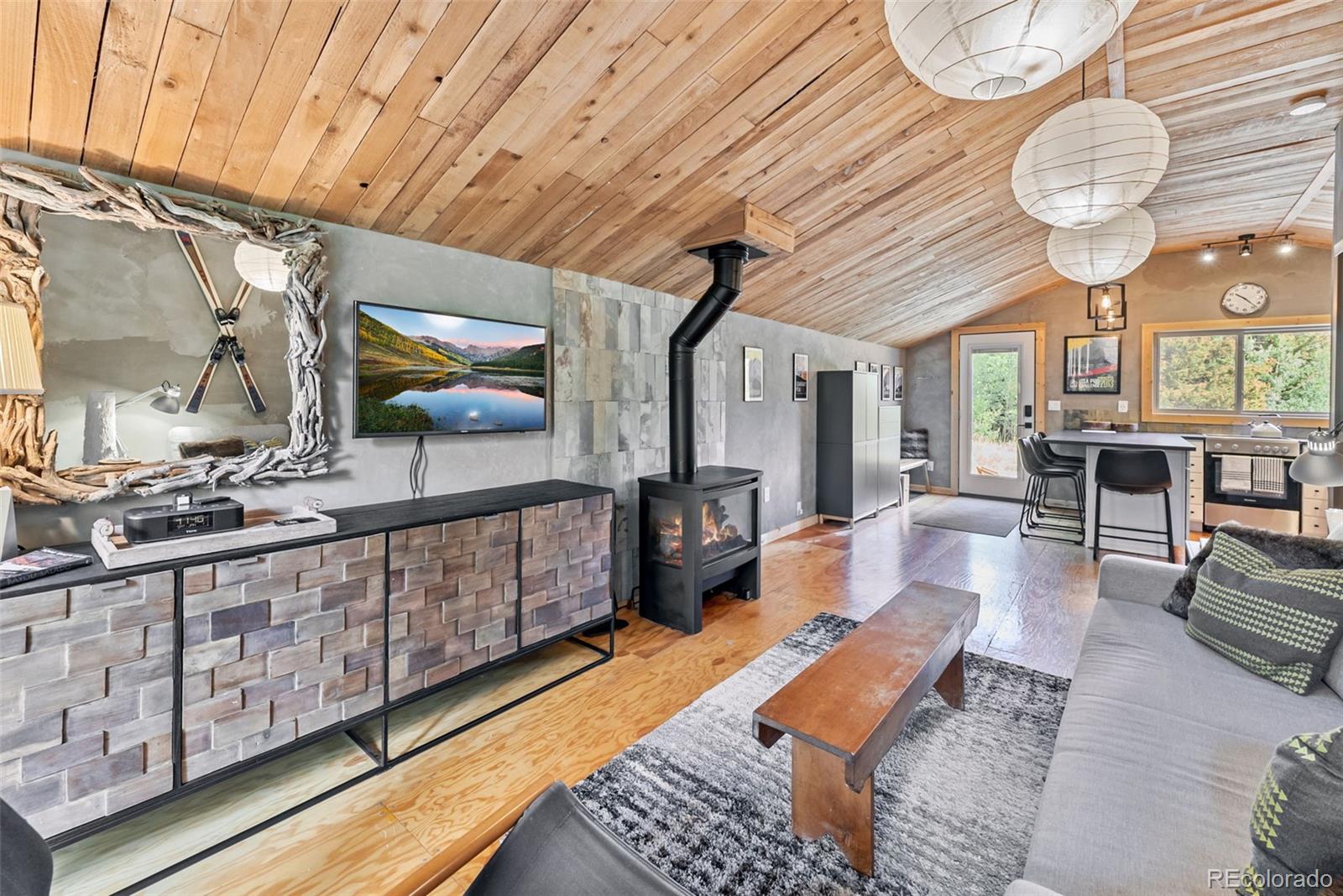 MLS Image #3 for 932  peterson drive,alma, Colorado