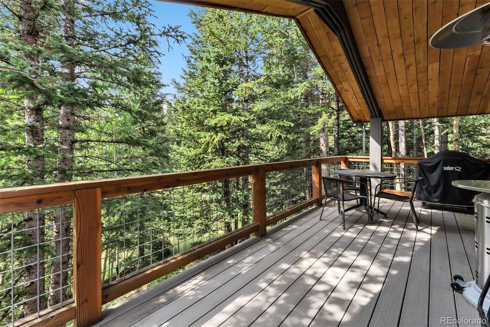 MLS Image #36 for 932  peterson drive,alma, Colorado