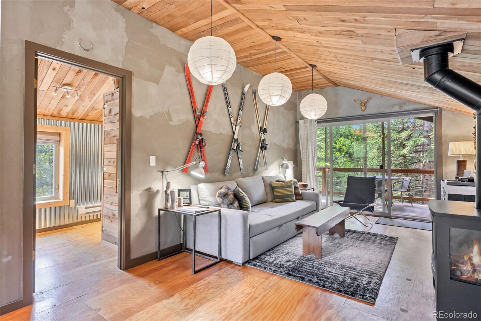 MLS Image #4 for 932  peterson drive,alma, Colorado