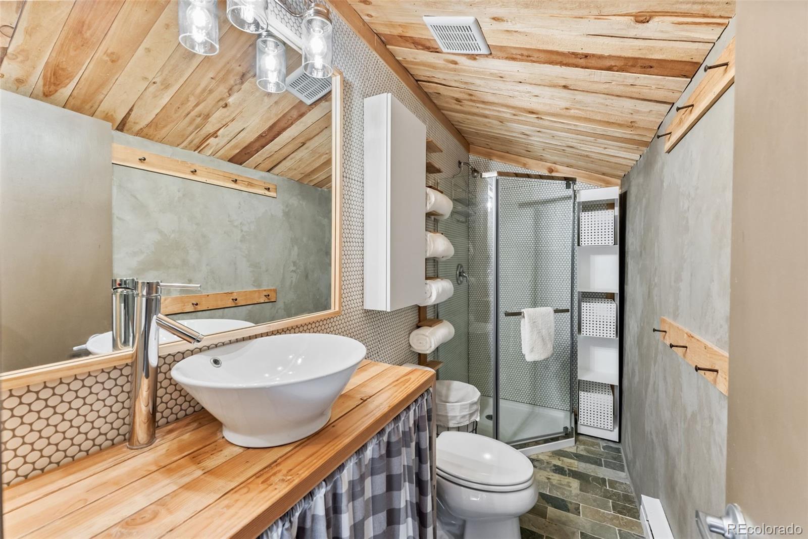 MLS Image #8 for 932  peterson drive,alma, Colorado