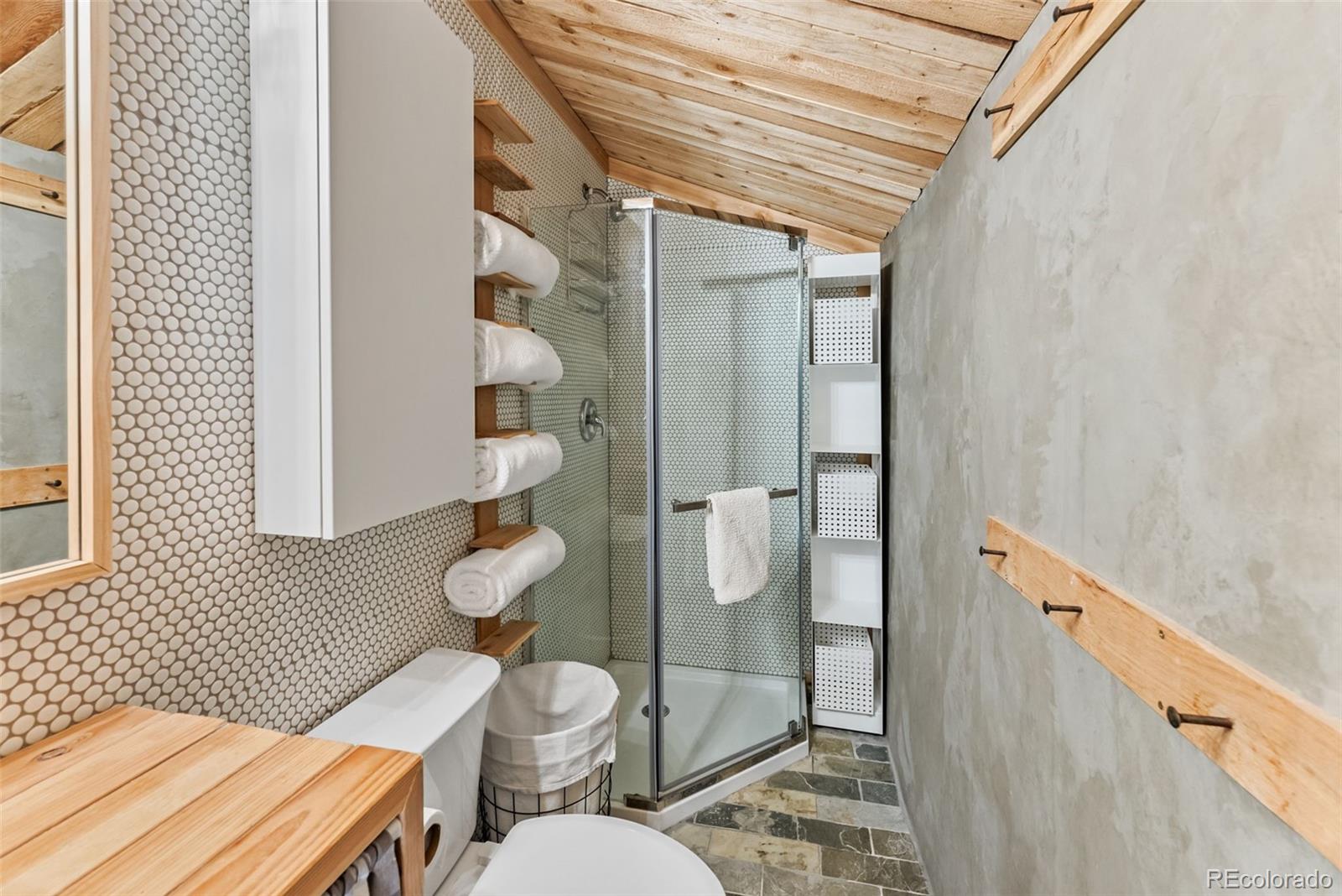MLS Image #9 for 932  peterson drive,alma, Colorado