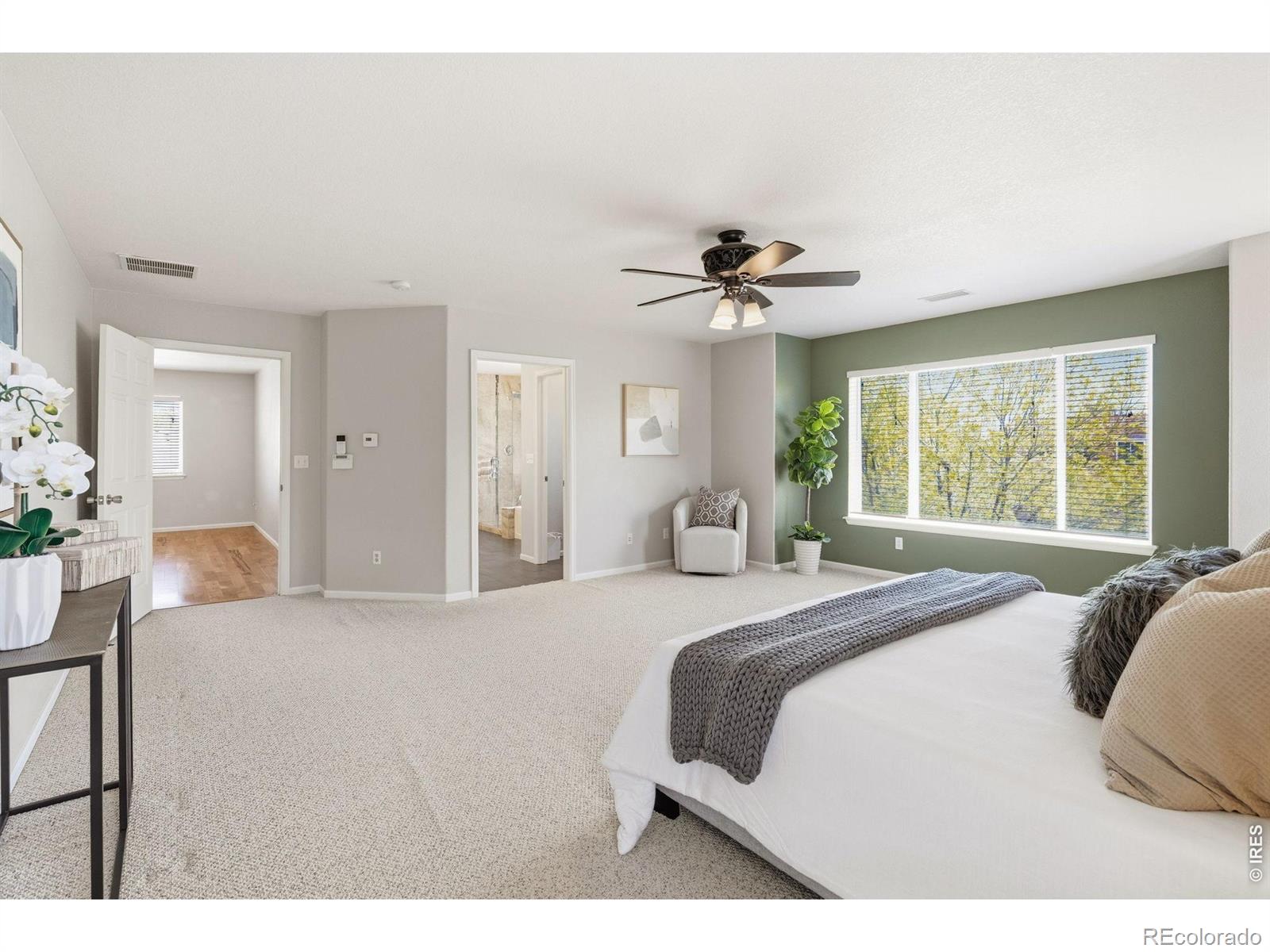 MLS Image #28 for 4582  longs court,broomfield, Colorado