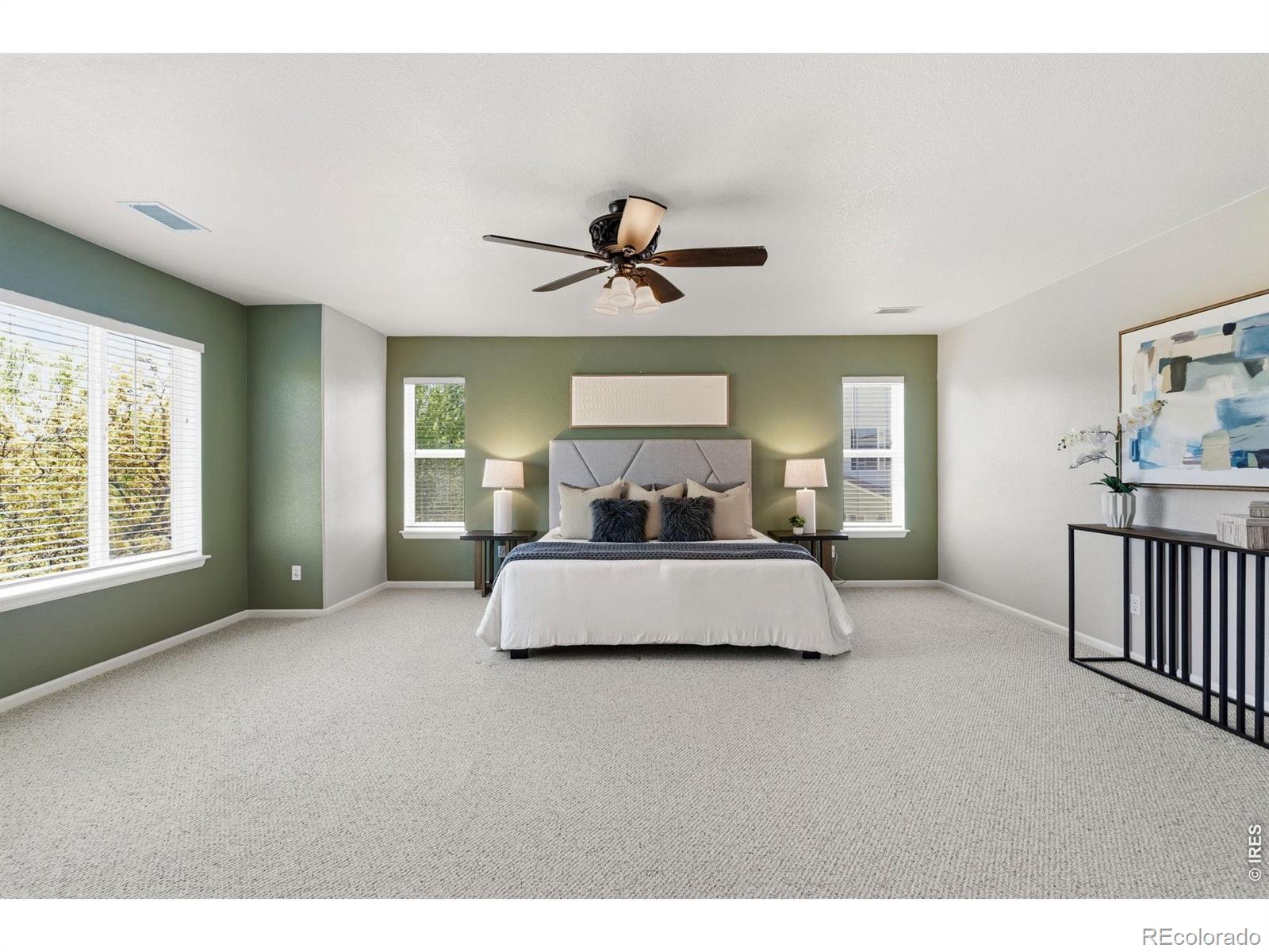 MLS Image #29 for 4582  longs court,broomfield, Colorado