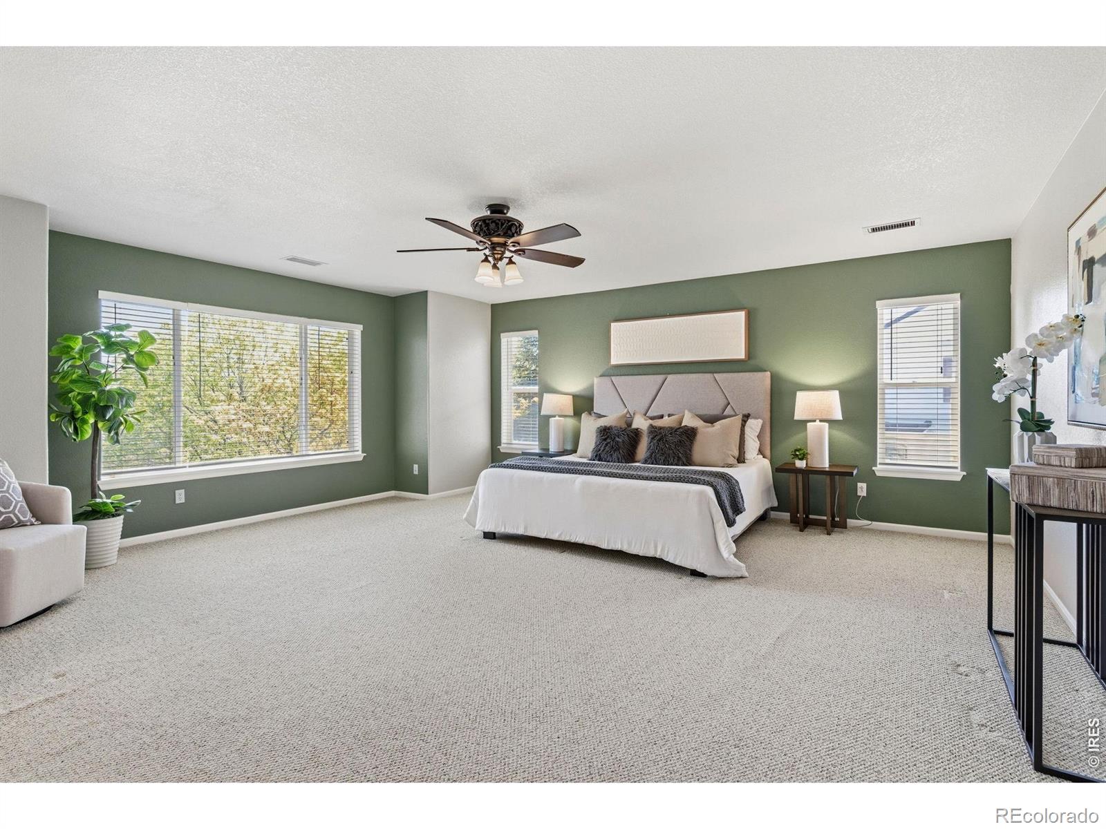 MLS Image #30 for 4582  longs court,broomfield, Colorado