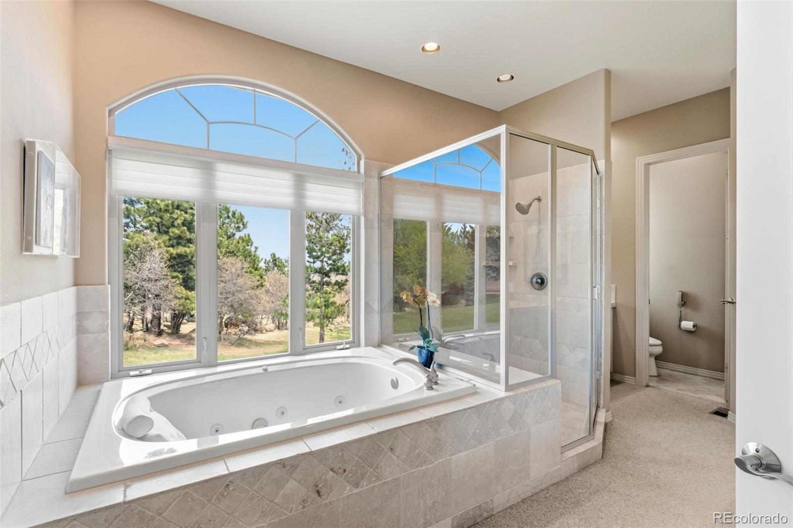 MLS Image #17 for 444  darlington way,colorado springs, Colorado