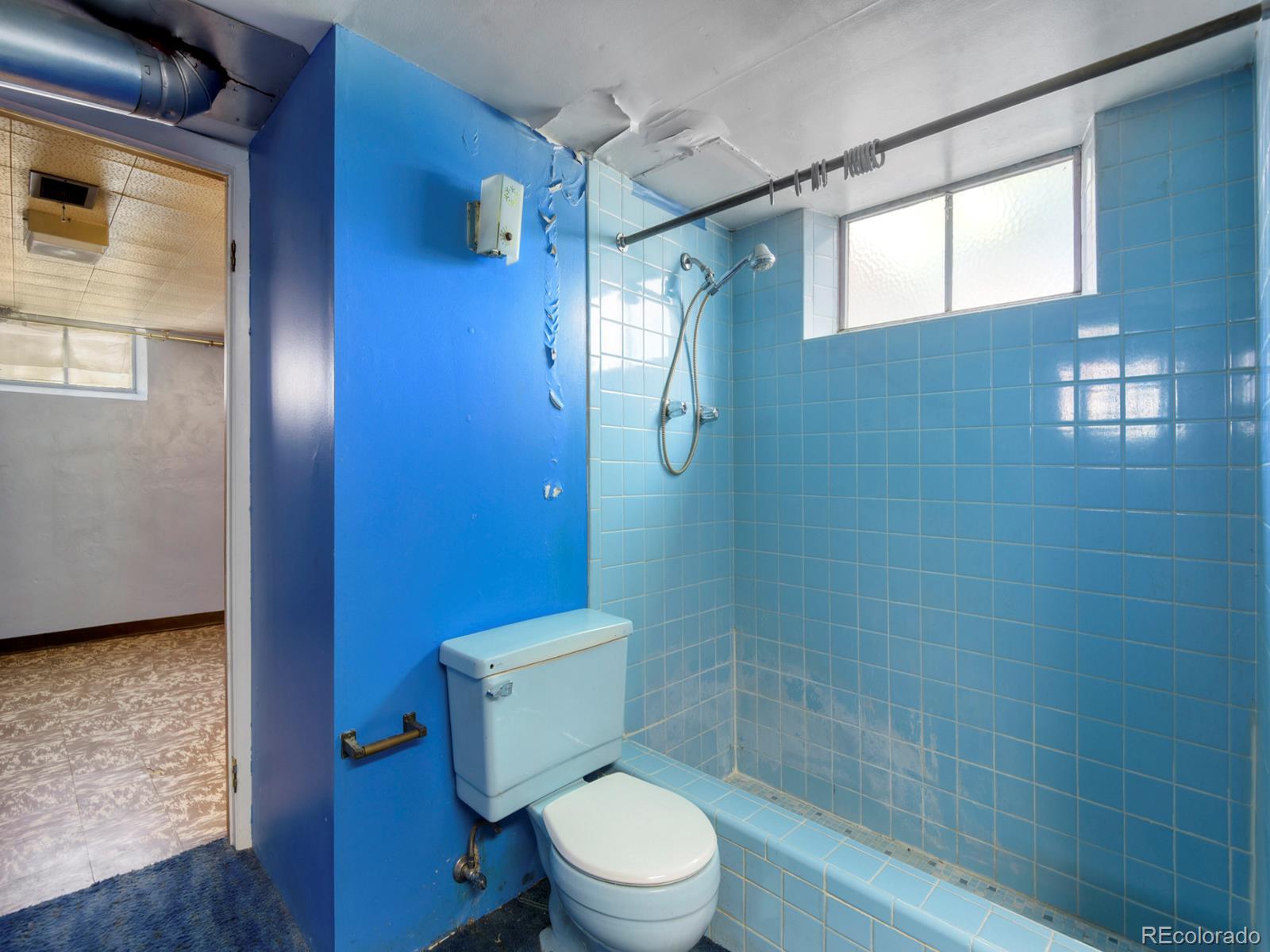MLS Image #27 for 1065  lansing street,aurora, Colorado