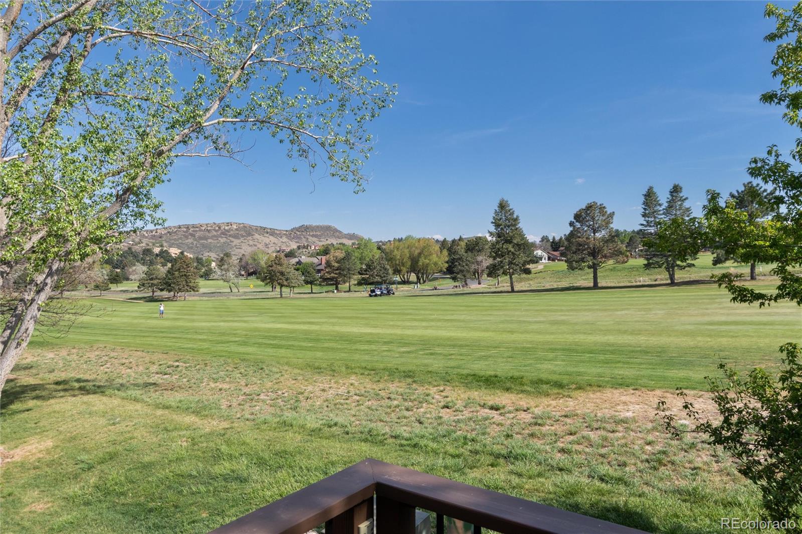 MLS Image #29 for 16066  double eagle drive,morrison, Colorado