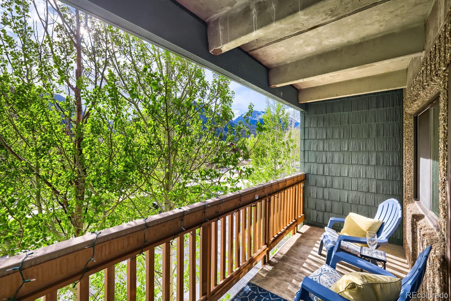 MLS Image #12 for 200  granite street,frisco, Colorado