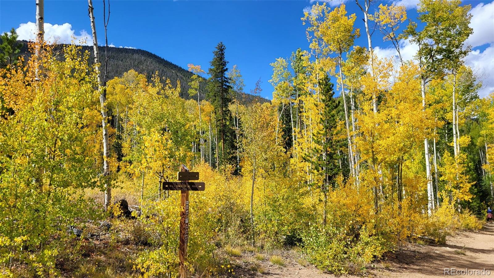 MLS Image #27 for 200  granite street,frisco, Colorado