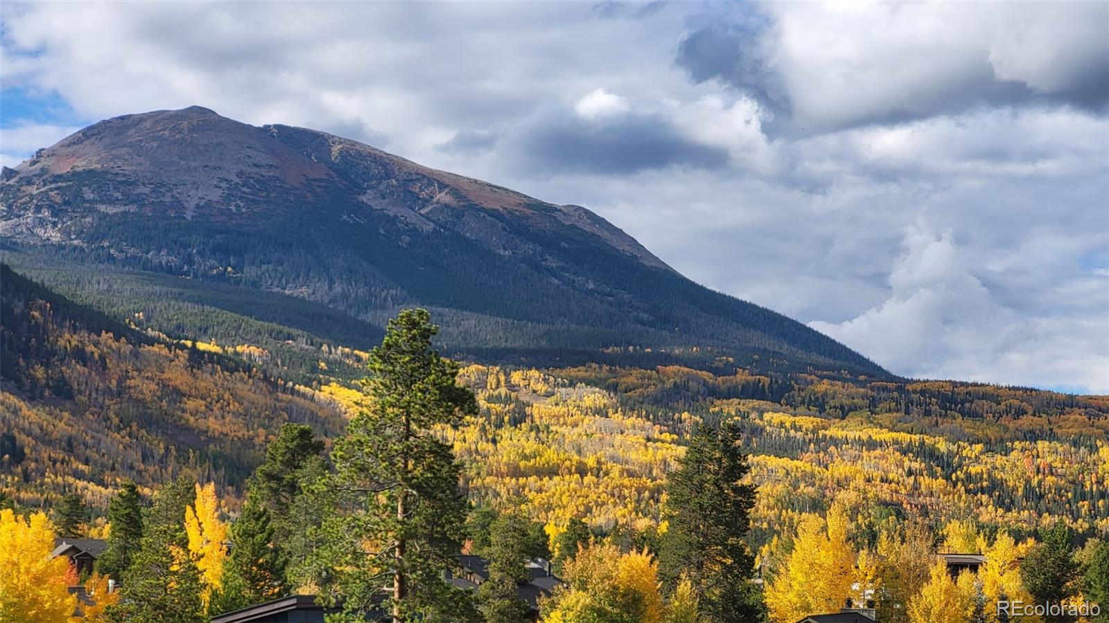 MLS Image #29 for 200  granite street,frisco, Colorado