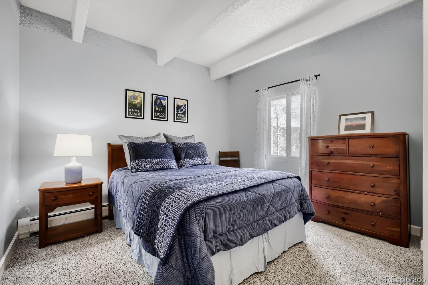 MLS Image #7 for 200  granite street,frisco, Colorado