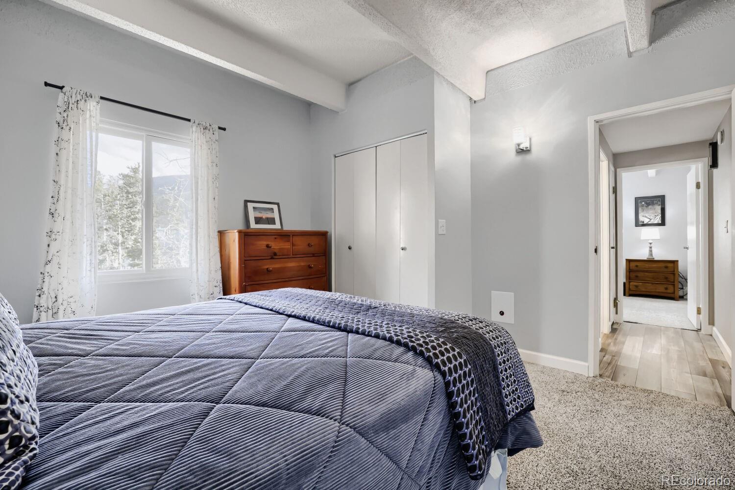 MLS Image #8 for 200  granite street,frisco, Colorado
