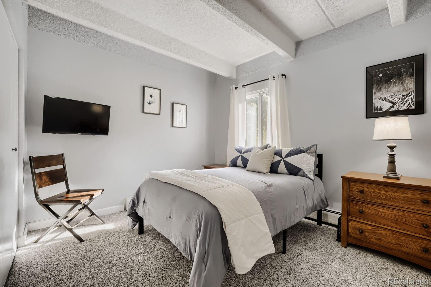 MLS Image #9 for 200  granite street,frisco, Colorado