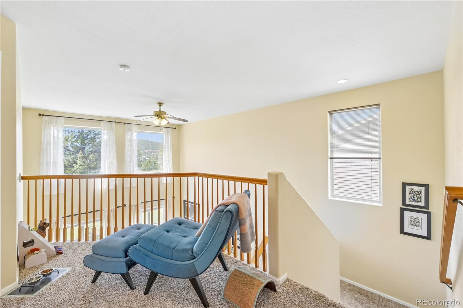 MLS Image #21 for 30168  hilltop drive,evergreen, Colorado