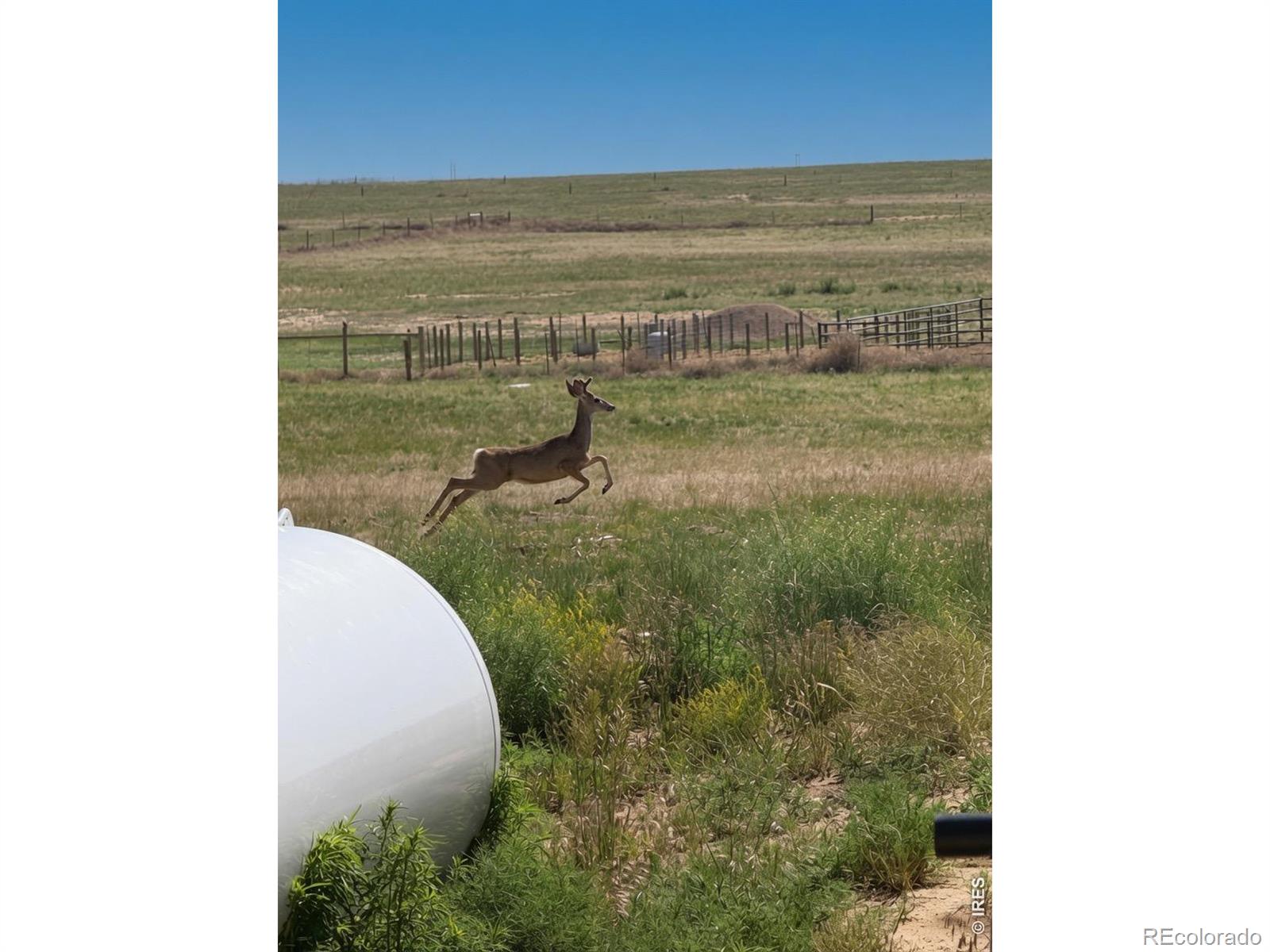 MLS Image #12 for 41219  county road 84 ,briggsdale, Colorado