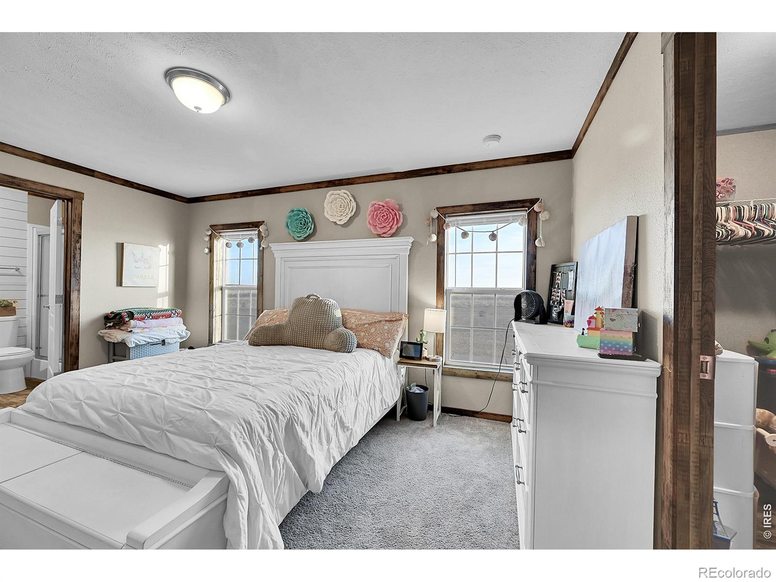 MLS Image #31 for 41219  county road 84 ,briggsdale, Colorado