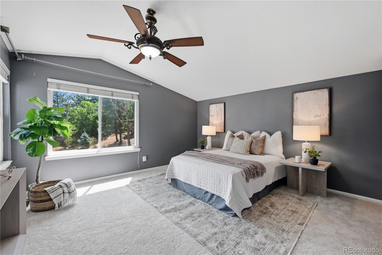 MLS Image #22 for 9642  millstone court,highlands ranch, Colorado