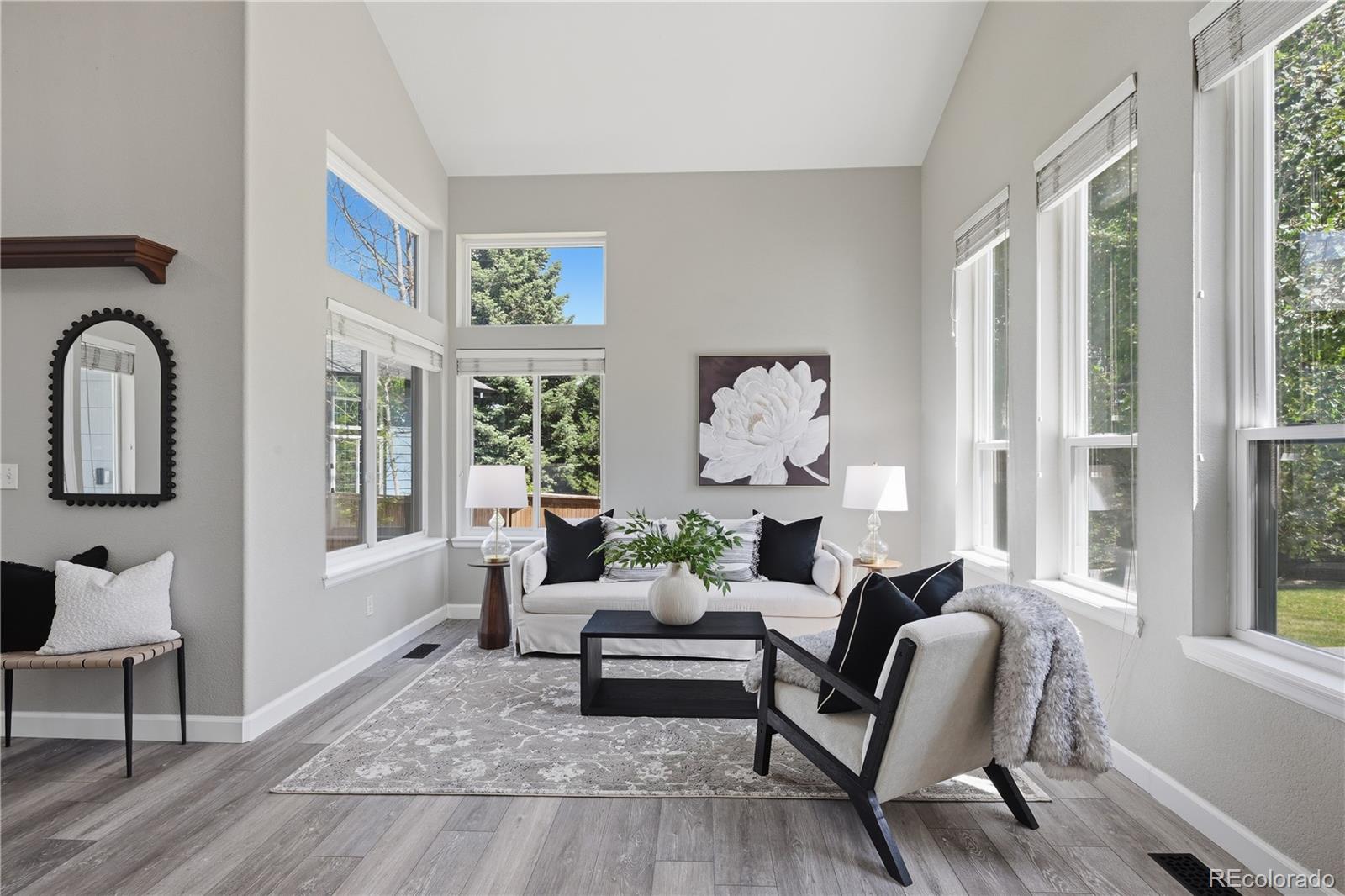 MLS Image #4 for 9642  millstone court,highlands ranch, Colorado