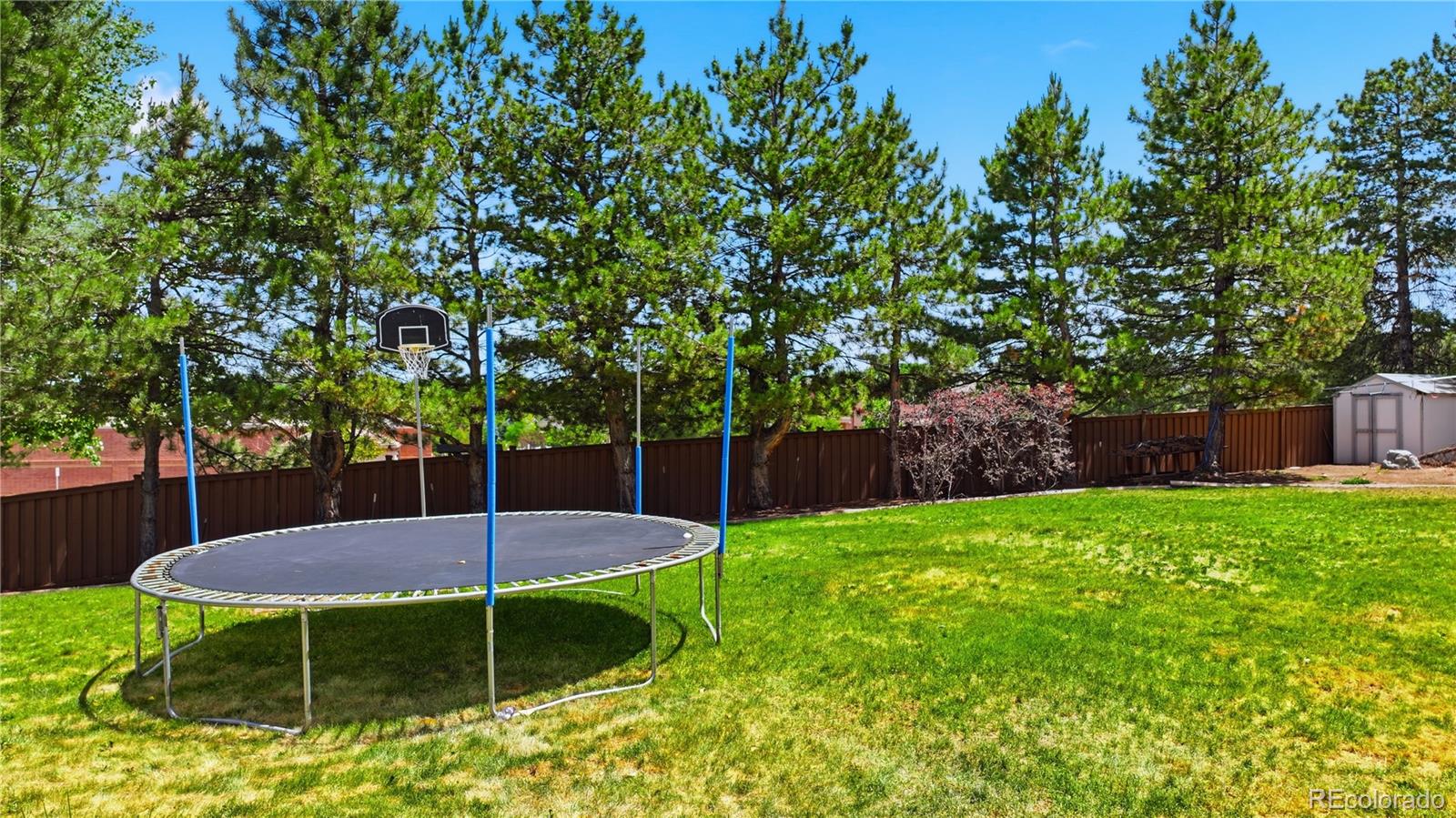 MLS Image #40 for 9642  millstone court,highlands ranch, Colorado
