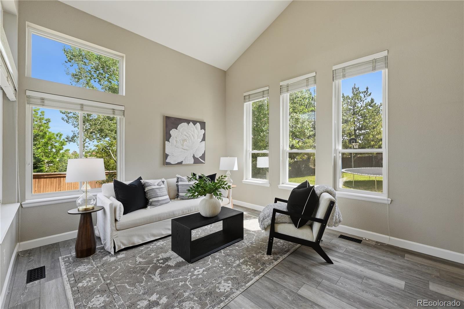 MLS Image #5 for 9642  millstone court,highlands ranch, Colorado