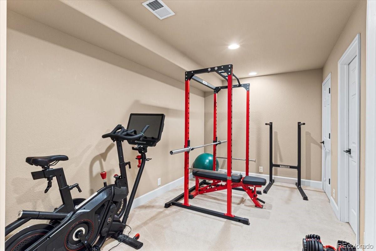 MLS Image #25 for 12441  turquoise terrace place,castle pines, Colorado