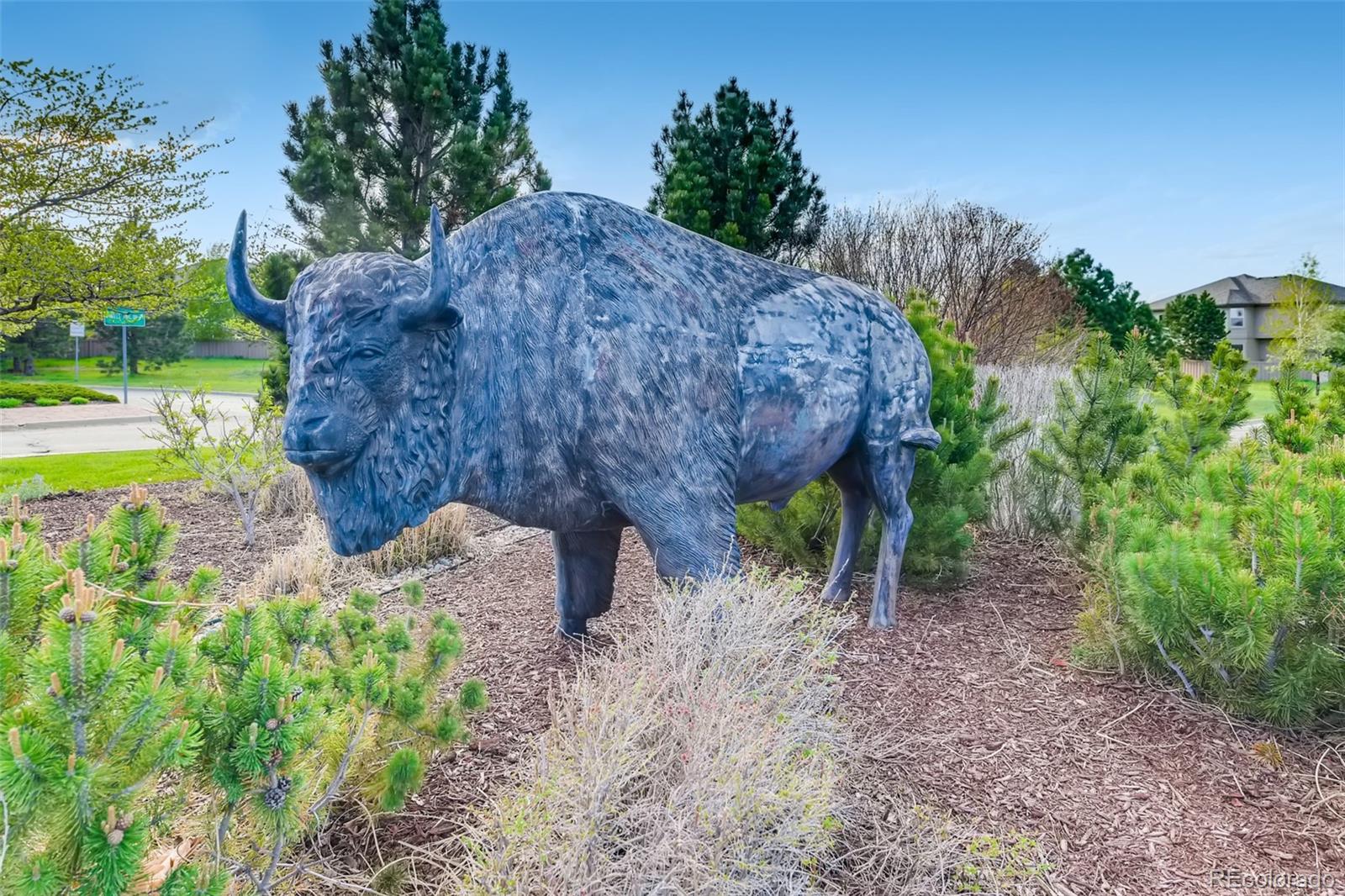 MLS Image #44 for 12441  turquoise terrace place,castle pines, Colorado