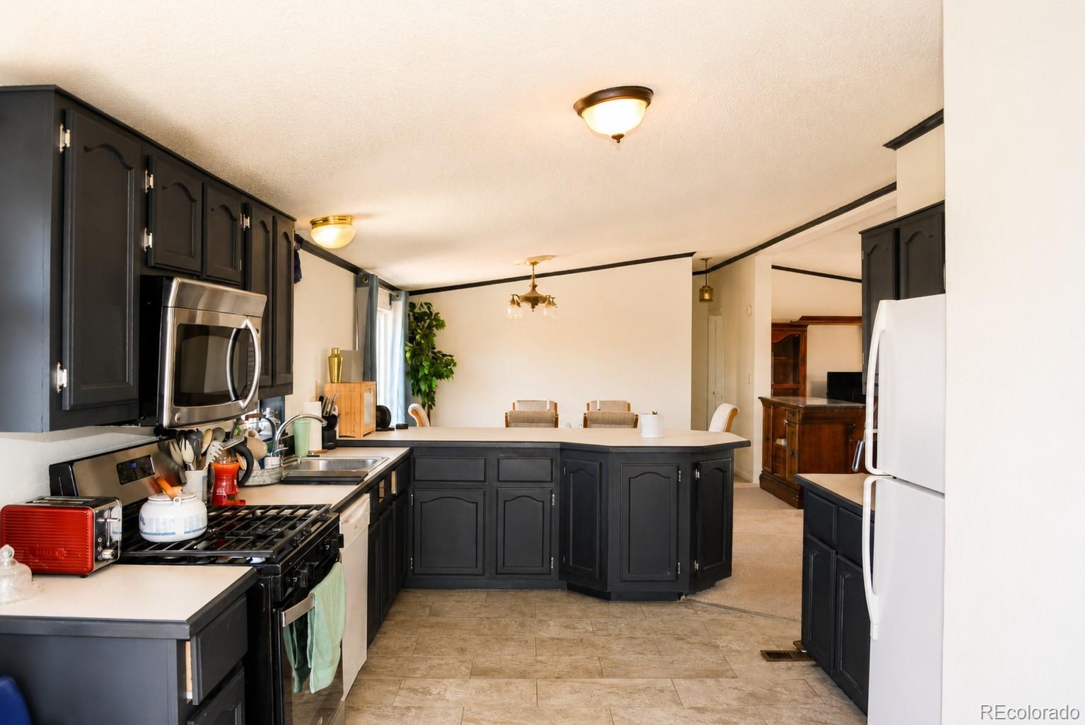 MLS Image #6 for 447  shasta court,kiowa, Colorado